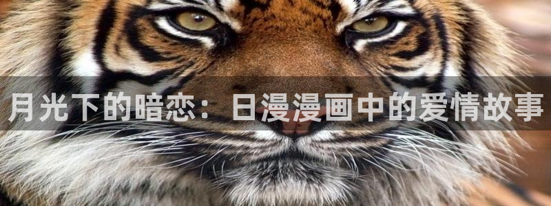 汗汗漫画在线阅读无限金币