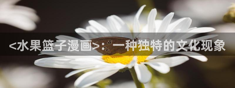 汗汗漫画在线观：<水果篮子漫画>：一种独特的文化现象