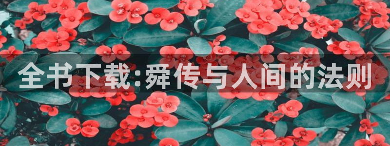 www.汗汗漫画：全书下载:舜传与人间的法则