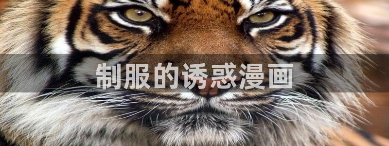 羞羞漫画歪歪汗汗漫画av
