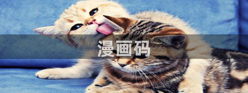 汗汗漫画的