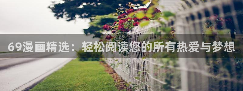 艳母汗汗漫画：69漫画精选：轻松阅读您的所有热爱与梦想